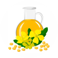 Oil Seeds
