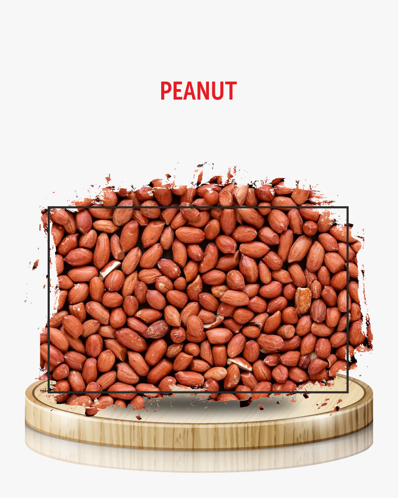 Peanut