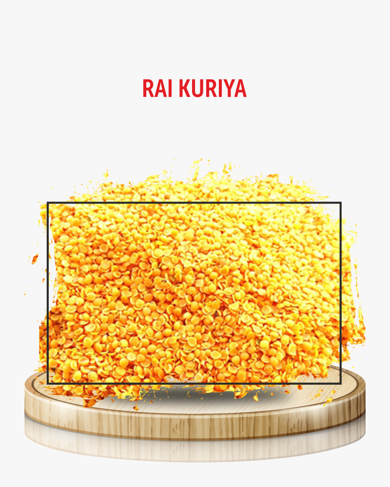Rai Kuriya