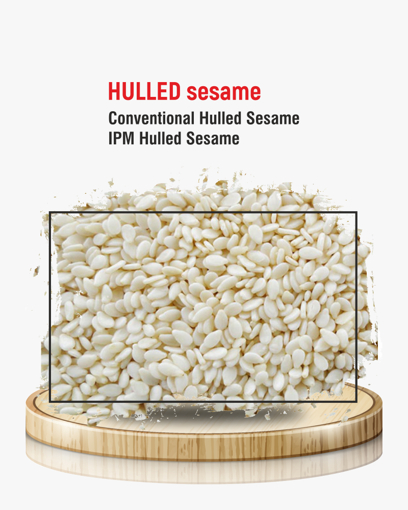 Sesame Seeds (Til)
